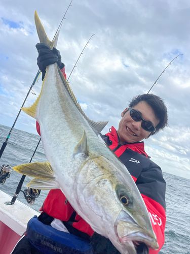 ヒラマサの釣果