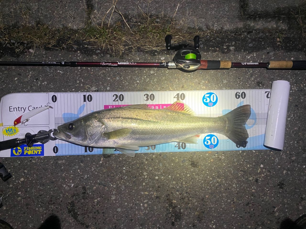 Fishman ビームス CRAWLA 9.2L＋の最安値・インプレ・釣果 | 本音の