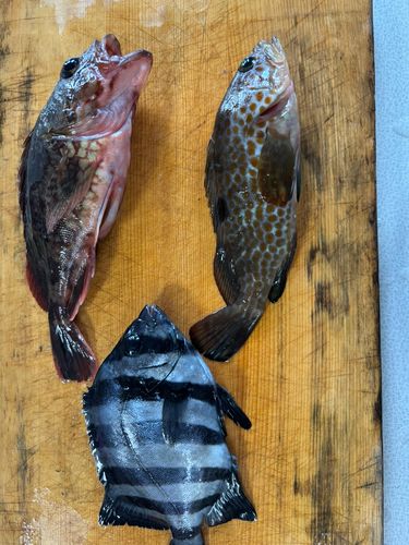 阿尾漁港（氷見）