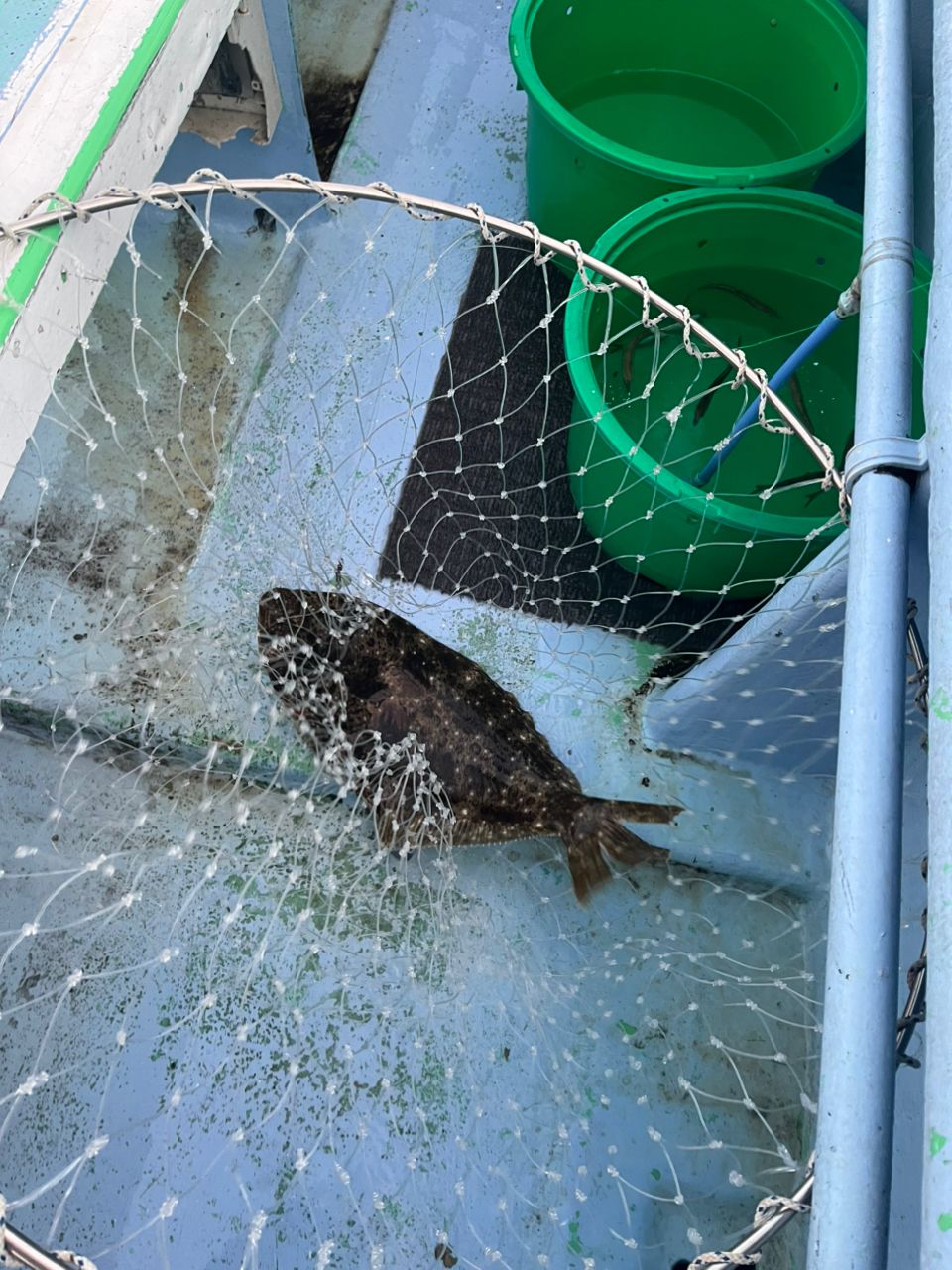 まっちゃん　アングラー4565085さんの釣果 1枚目の画像