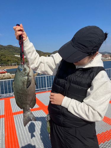 須磨海づり公園