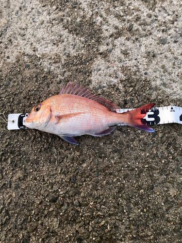 アジュール舞子