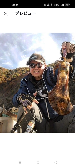 アオリイカの釣果