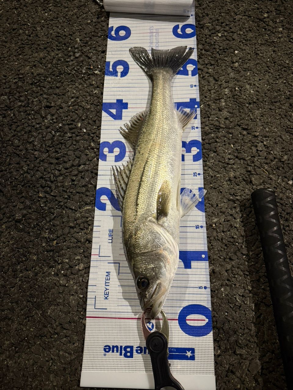 TENRYU スワット SW842S-LMLの最安値・インプレ・釣果 | 本音の口コミ