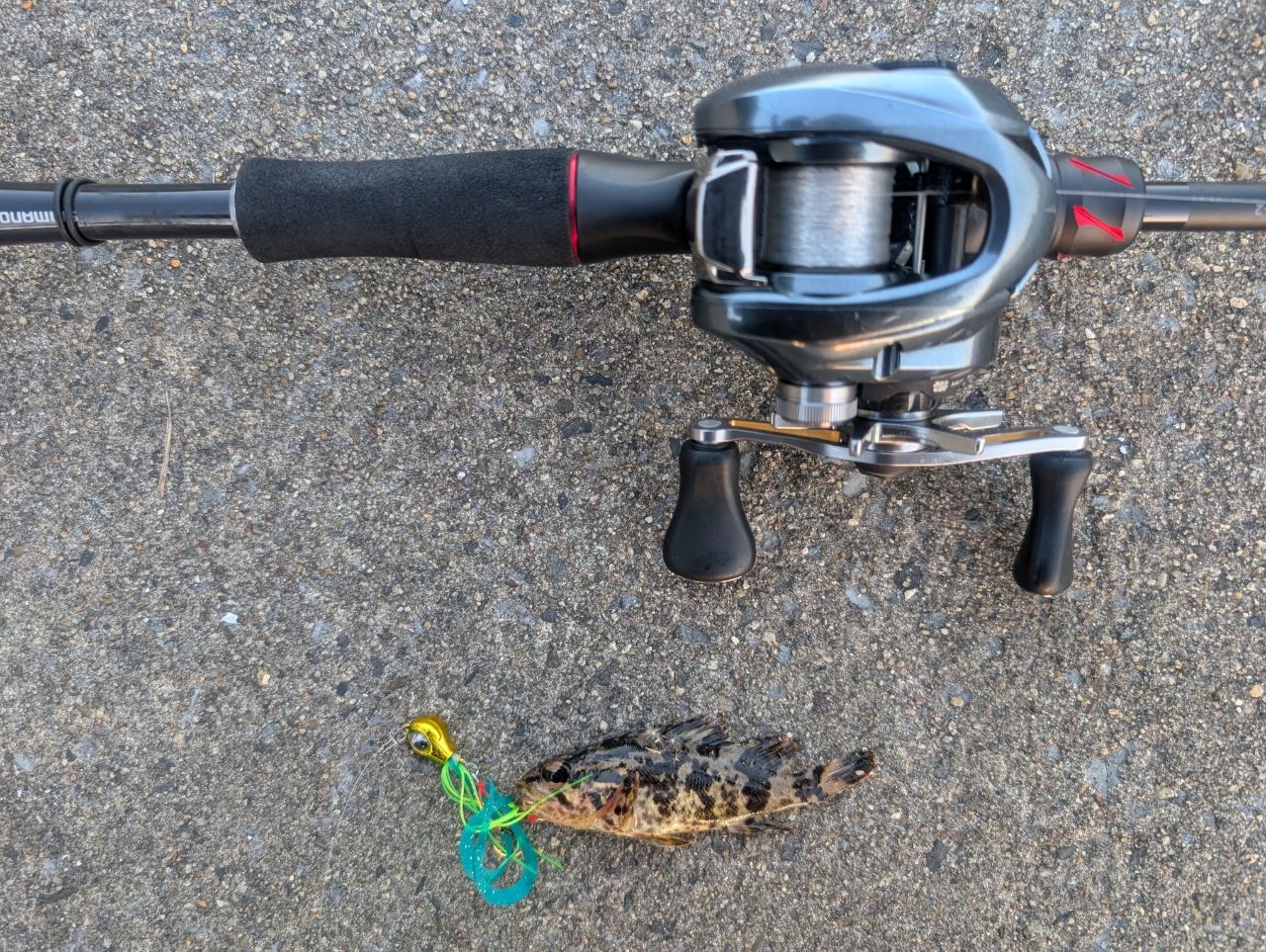 SHIMANO 20ゾディアス 1610ML-2の最安値・インプレ・釣果 | 本音の