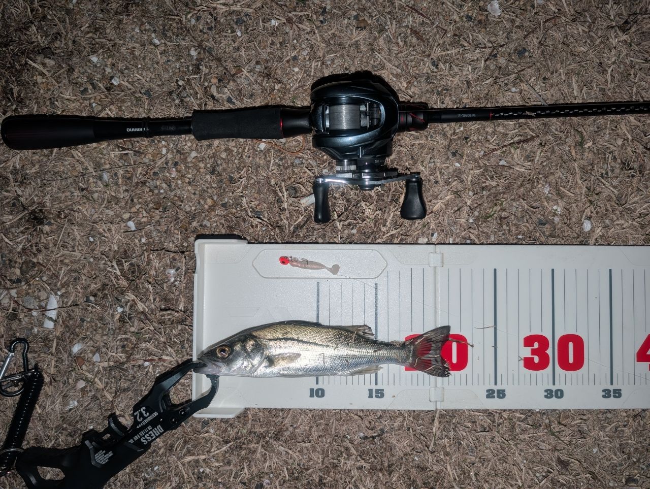 SHIMANO 20ゾディアス 1610ML-2の最安値・インプレ・釣果 | 本音の