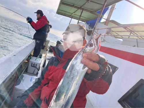 タチウオの釣果