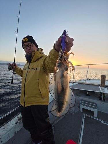 アオリイカの釣果