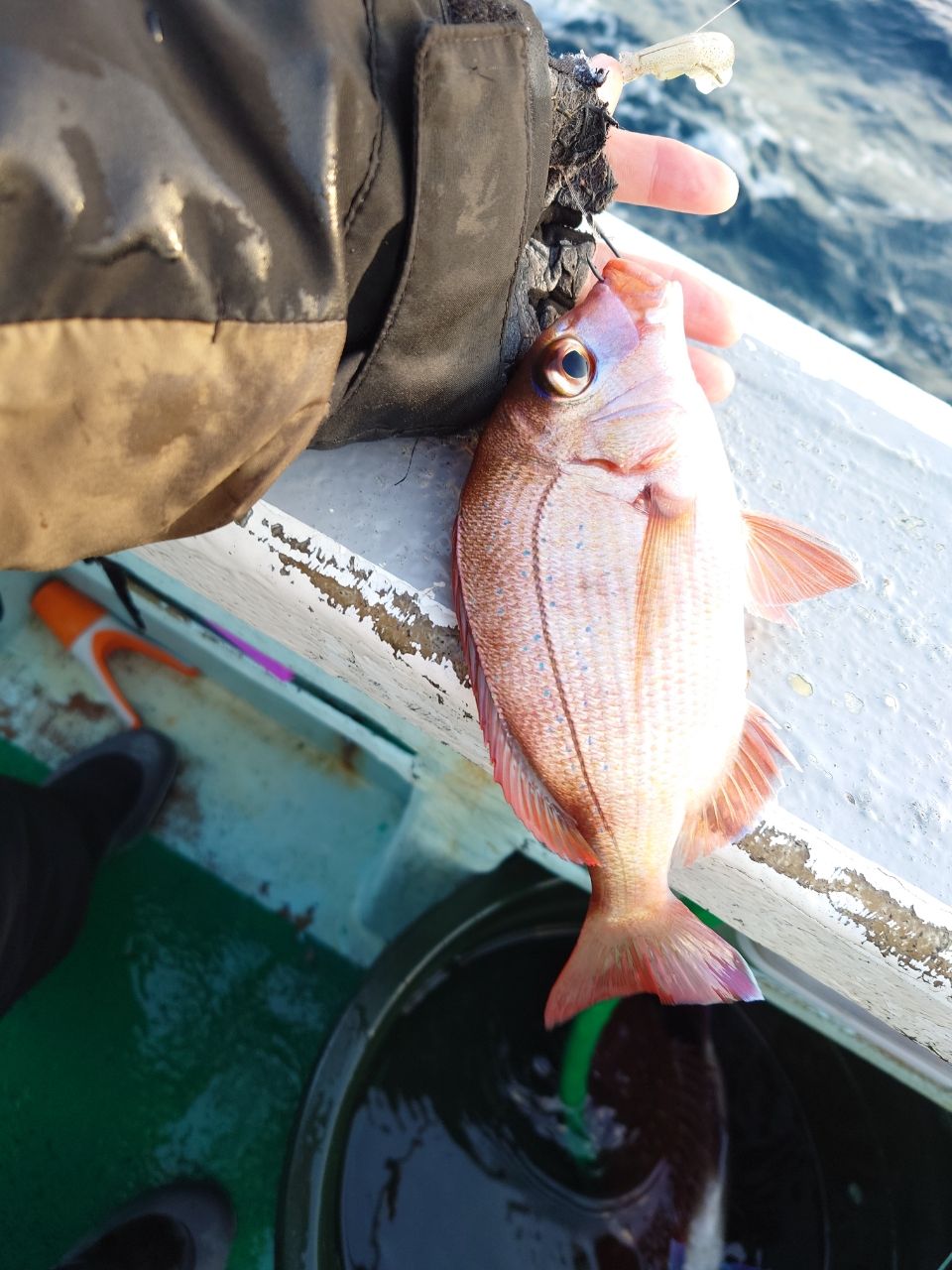 はくさい🎣🐟さんの釣果 1枚目の画像