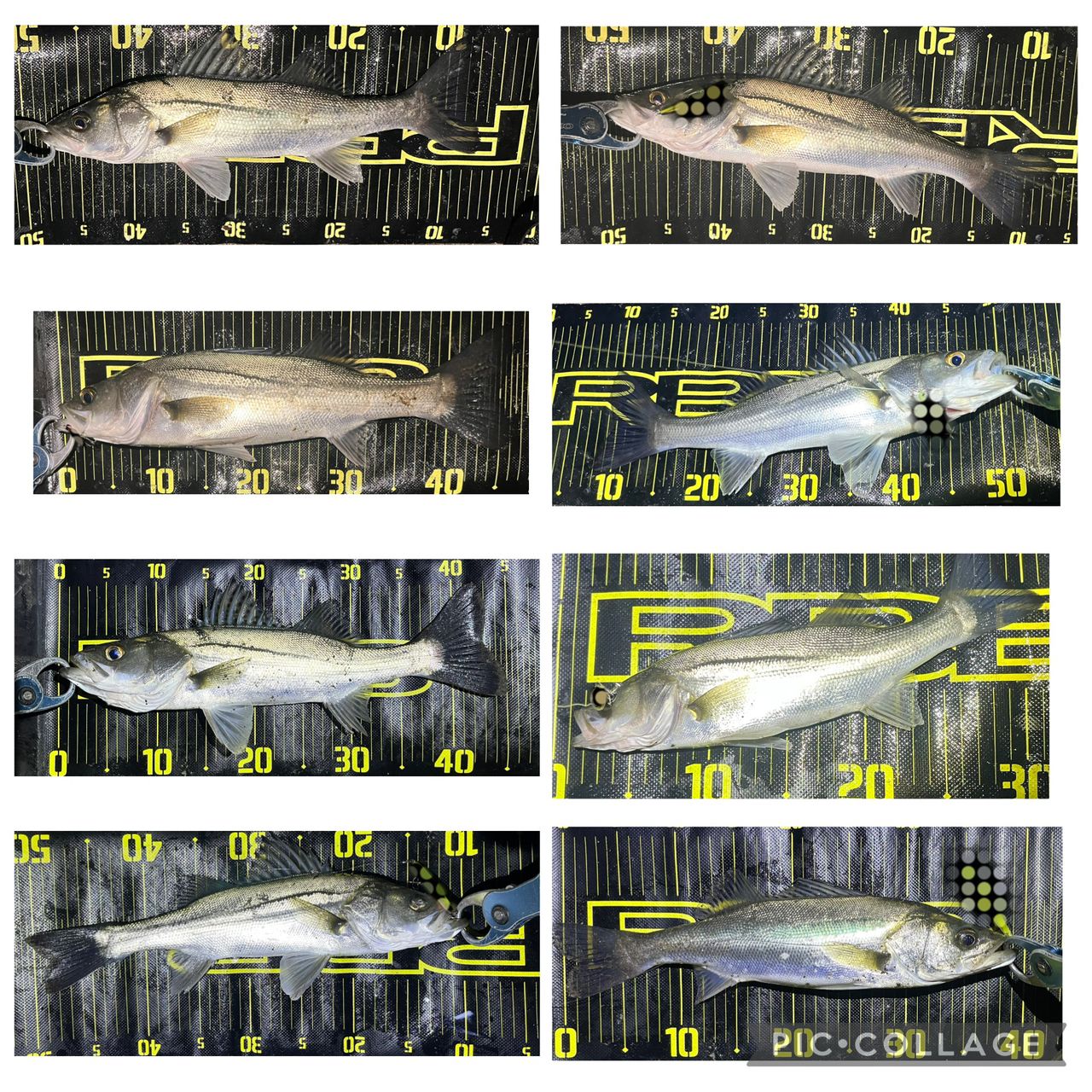 APIA フージン' Z GENEROUS 94Mの最安値・インプレ・釣果 | 本音の