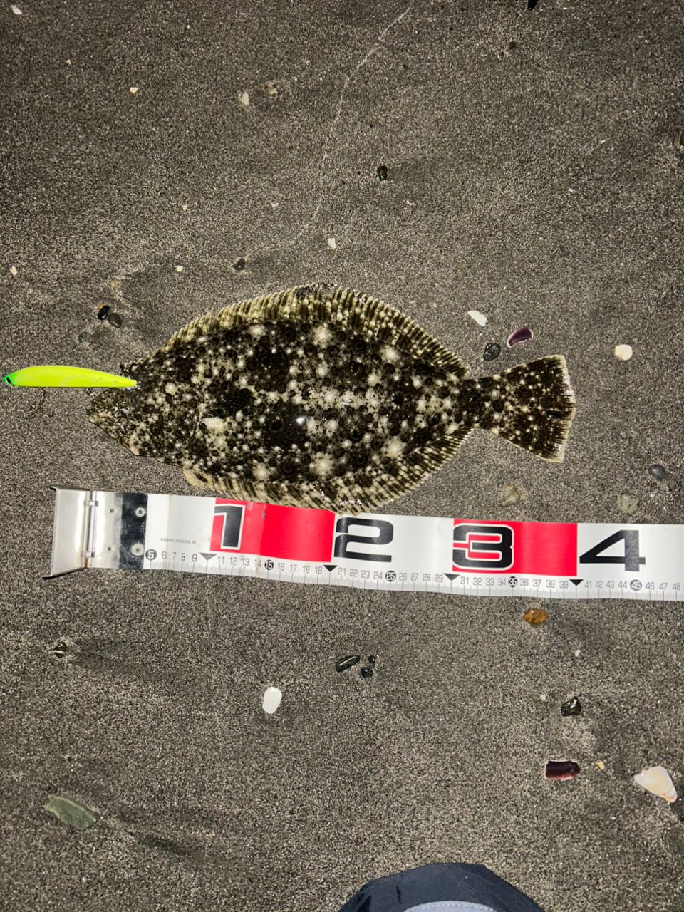 GCRAFT セブンセンスTR モンスターサーフ MSS-1052-TRの最安値