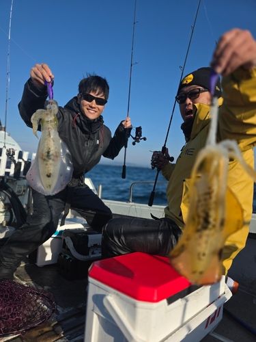 アオリイカの釣果