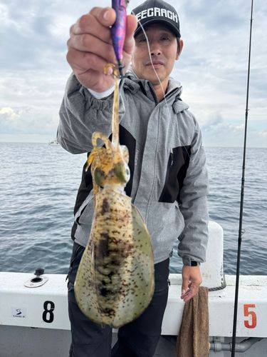 タチウオの釣果