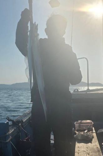 タチウオの釣果