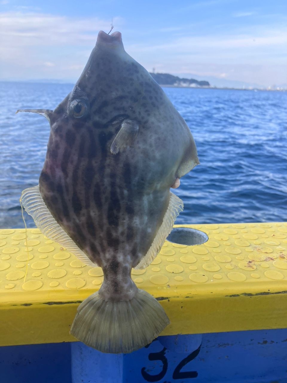 アングラーナーヒャンさんの釣果 3枚目の画像