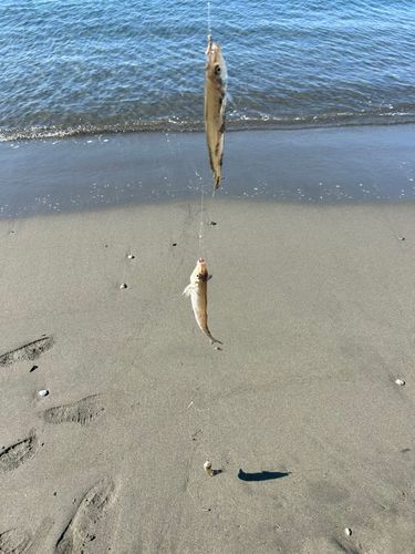 茅ヶ崎ヘッドランド