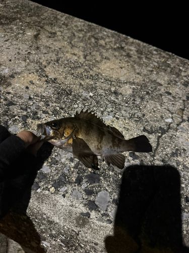 警固屋中学校前