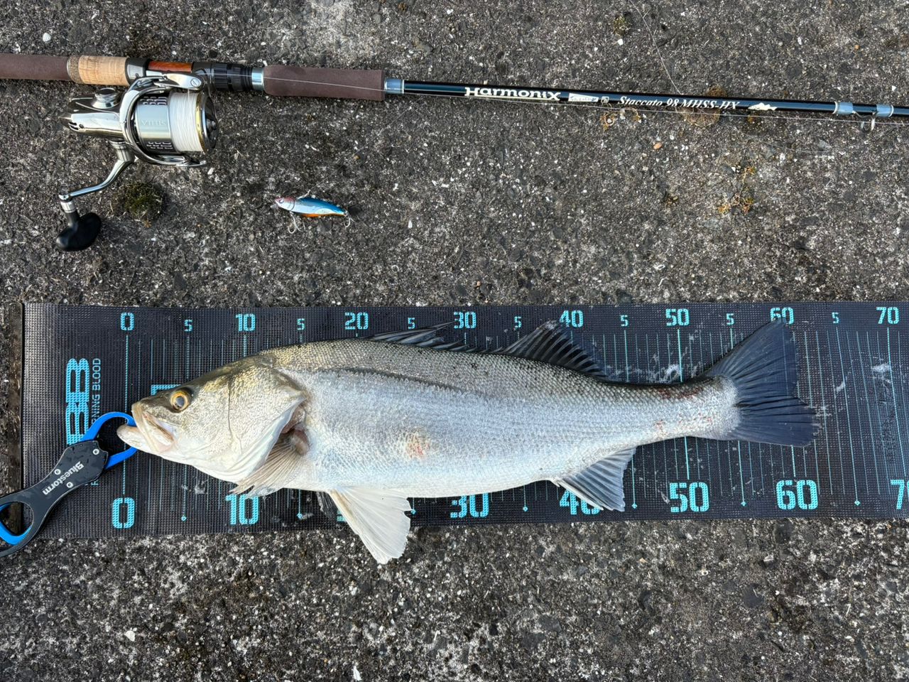 TULALA ハーモニクス スタッカート 98MHSS-HXの最安値・インプレ・釣果