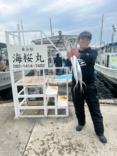 タチウオの釣果