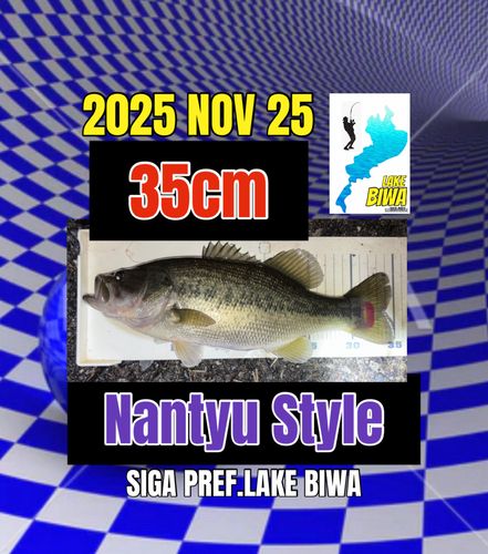 ラージマウスバスの釣果