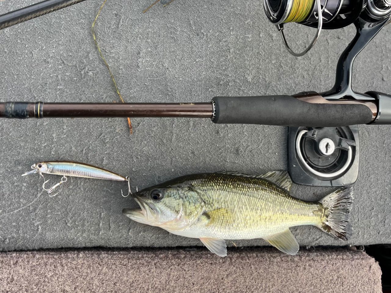 DAIWA 23タトゥーラ FC LT2500SS-H-QDの最安値・インプレ・釣果 | 本音