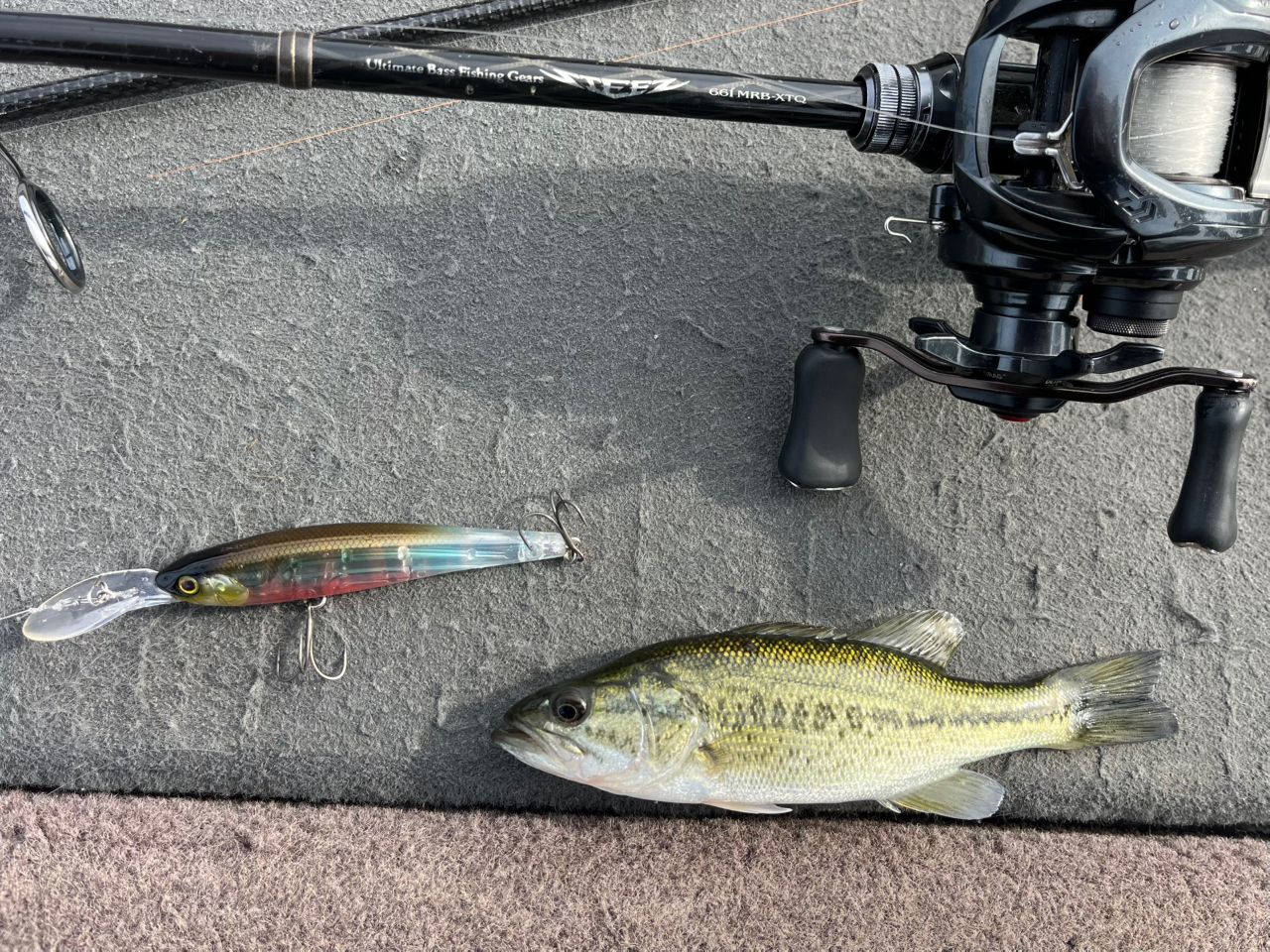 DAIWA 20タトゥーラ SV TW 103SHLの最安値・インプレ・釣果 | 本音の