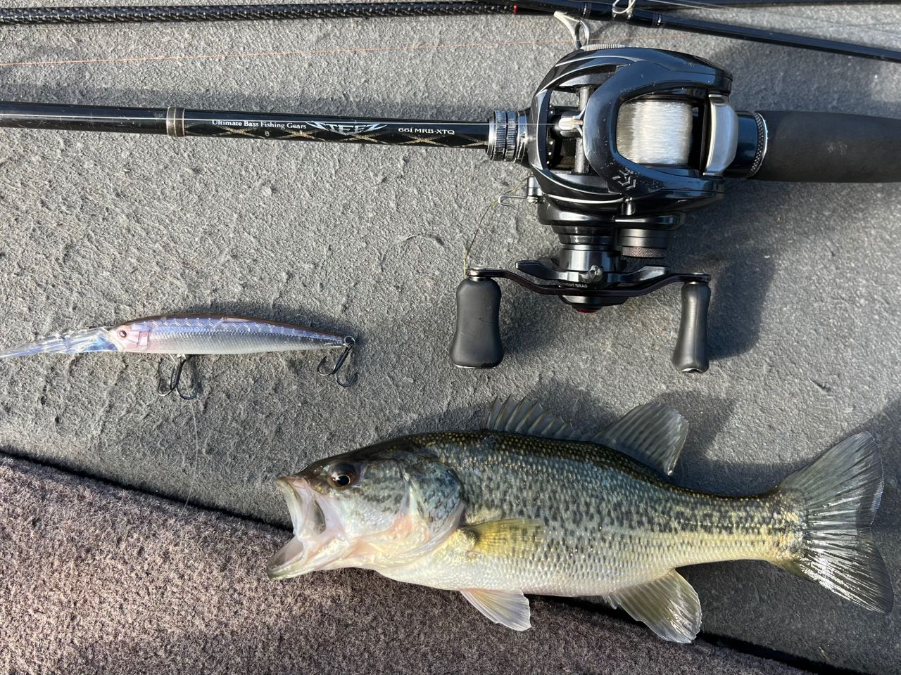 DAIWA 20タトゥーラ SV TW 103SHLの最安値・インプレ・釣果 | 本音の