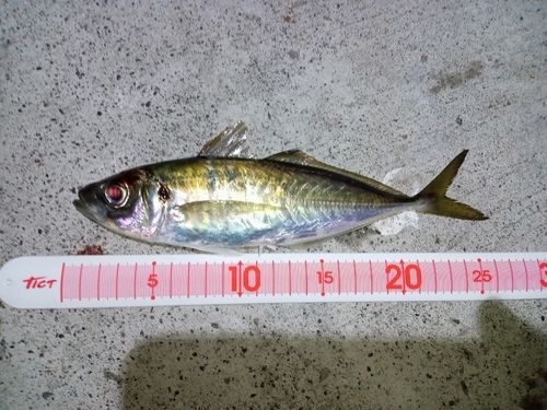 小名浜港市場前