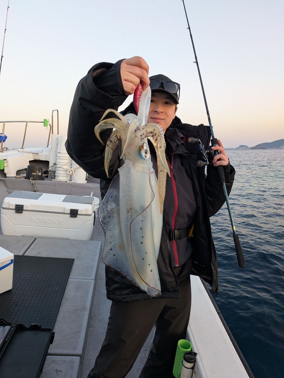 和歌山遊漁船SevenSWellさんの釣果 2枚目の画像