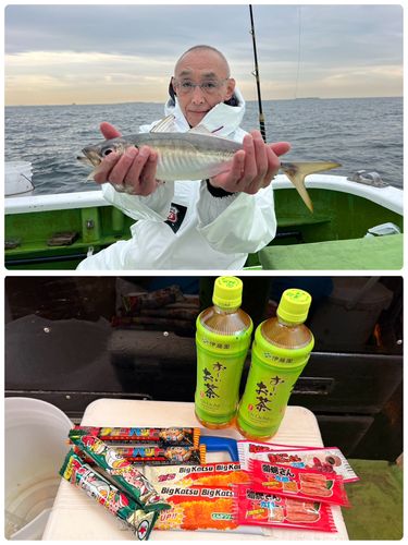 マアジの釣果