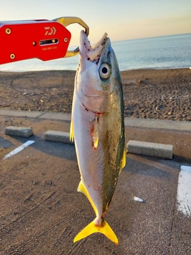 柿崎中央海水浴場