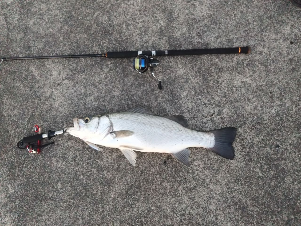 MajorCraft 「三代目」クロステージ ショアジギング CRX-962MHの最安値