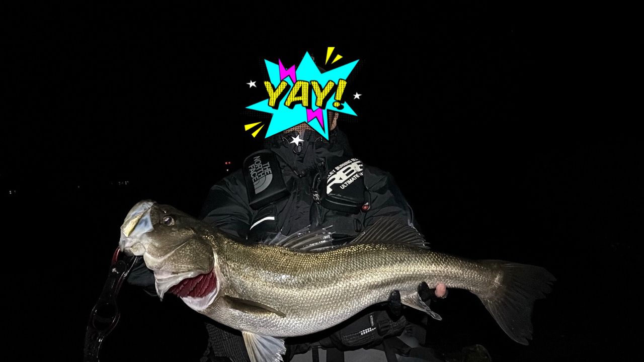 APIA フージン' AD STOUT HEART 90MHの最安値・インプレ・釣果