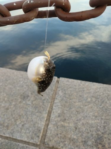 小名浜港アクアマリンふくしま周辺