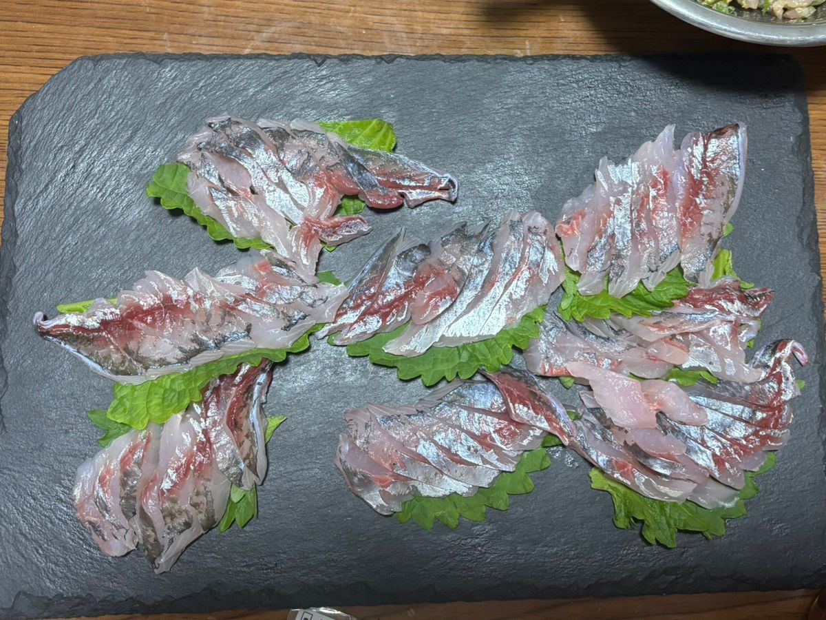 小心者の釣り師さんの釣果 3枚目の画像