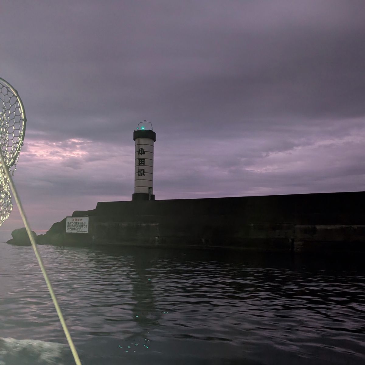 adonisさんの釣果 3枚目の画像