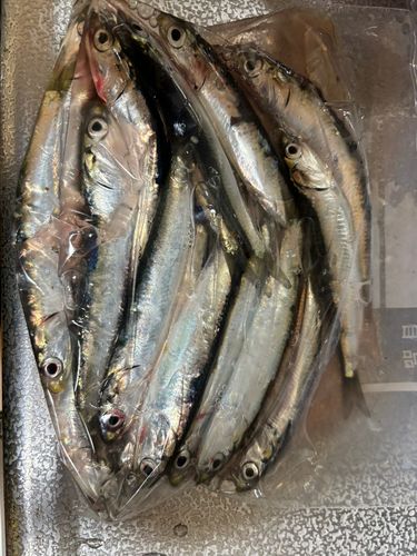 大黒海づり施設