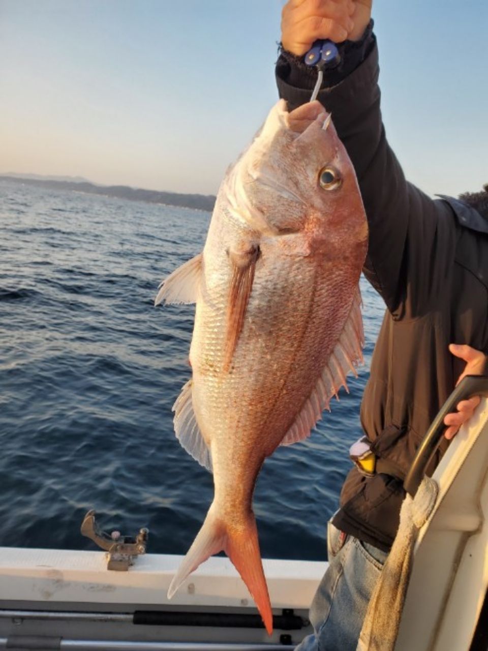 真鯛ハンタ～山ちゃんさんの釣果 2枚目の画像