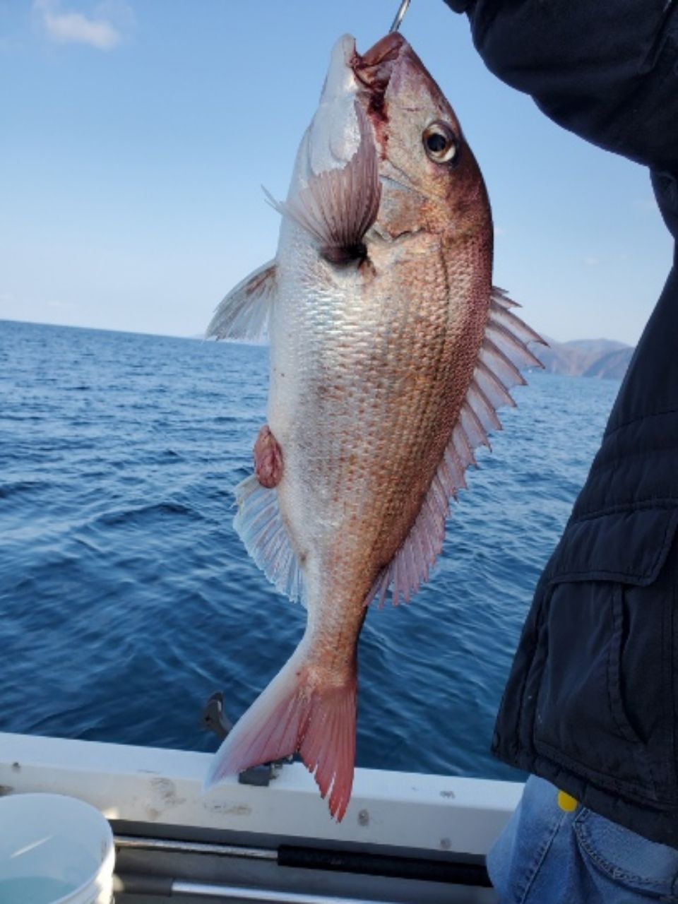 真鯛ハンタ～山ちゃんさんの釣果 3枚目の画像
