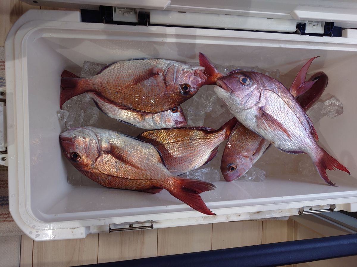 はくさい🎣🐟さんの釣果 3枚目の画像