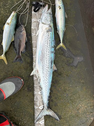 日和山浜海水浴場
