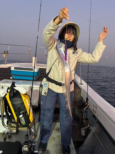 タチウオの釣果