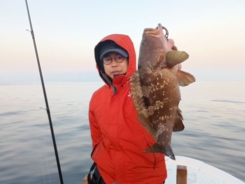 キジハタの釣果