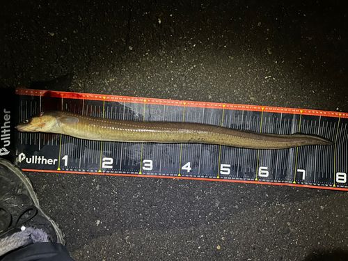 東京湾（アクアライン〜富津）