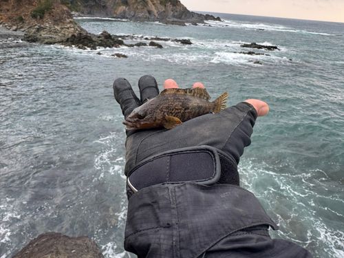 三陸海岸（宮城）