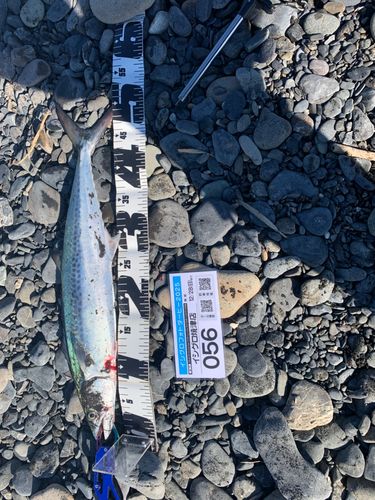 大浜海岸（静岡）