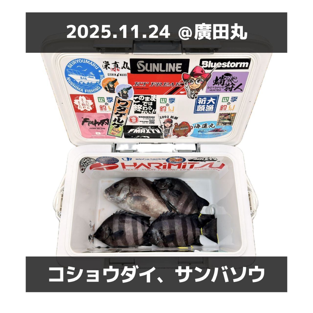 SHIMANO 20オシアコンクエスト リミテッド 200HGの最安値・インプレ