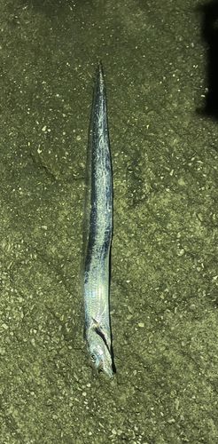 周防大島（屋代島）