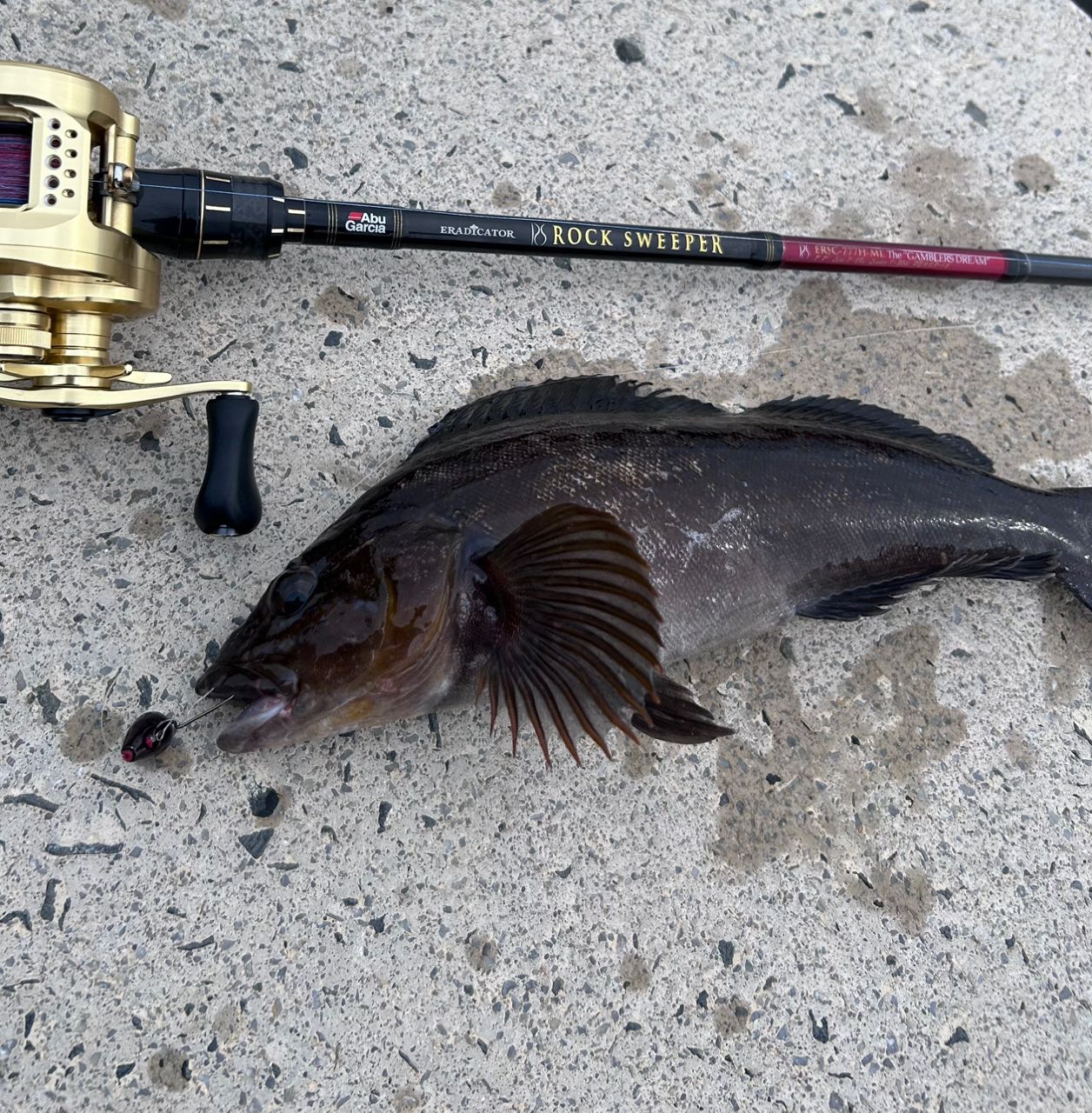 AbuGarcia エラディケーター ロックスイーパー ERSC-777H-MLの最安値