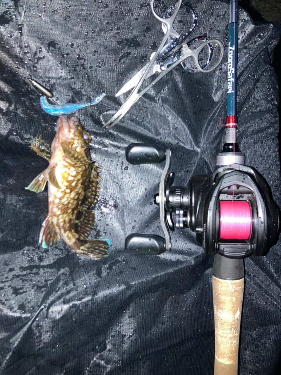 AbuGarcia ズームサファリ ZMSC-565Lの最安値・インプレ・釣果 | 本音